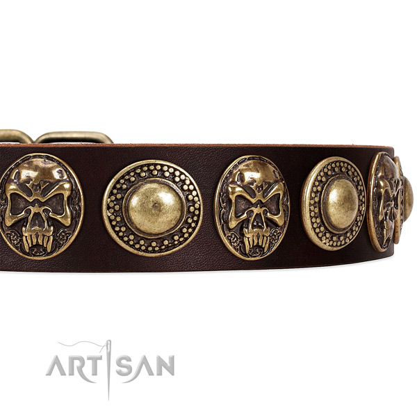 Full grain natural leather dog collar with adornments for easy wearing