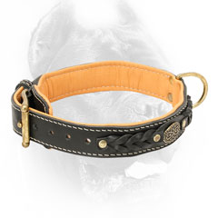 Simply beautiful Cane Corso collar made of leather