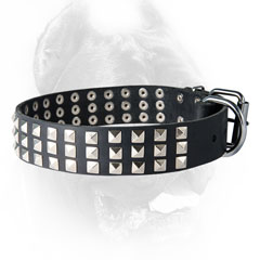Demandable leather Cane Corso collar studded with pyramids