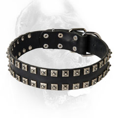 Leather Cane Corso collar with studs