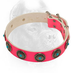 Extraordinary leather Cane Corso collar pink for walks