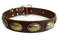 best dog collar for cane corso
