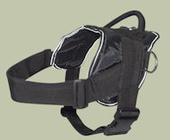 Dog pulling harness for Cane Corso