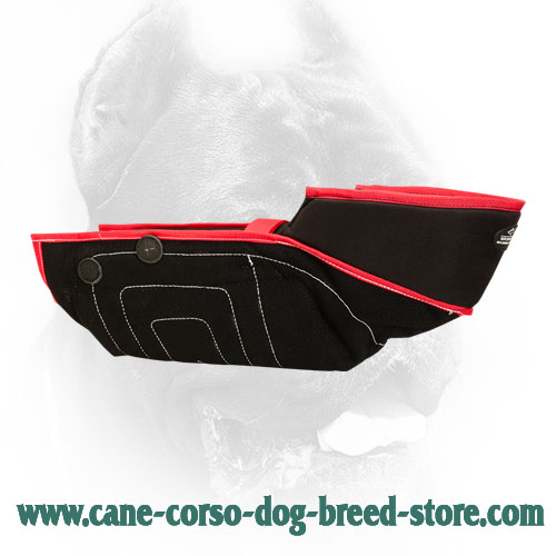 Extra Strong Cane Corso Protection Bite Sleeve - Safest Training Dog Equipment