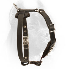 Leather Cane Corso Harness for Comfortable Wearing
