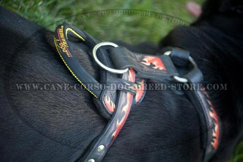 Exclusive Cane Corso Harness Padded On The Chest