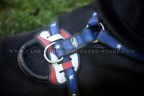 Exclusive Cane Corso Harness With Padding