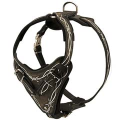 Very comfortable leather dog harness