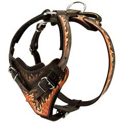 Very comfortable leather dog harness