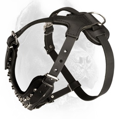 Unique free breathe leather dog harness