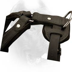 Dog agitation harness with cast D-Ring on the top