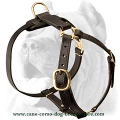 Handworked exclusive leather harness