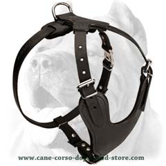 Innovative well-made leather dog harness 