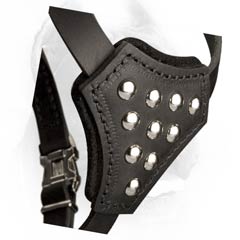 Hand Set Studs on Leather Cane Corso Harness