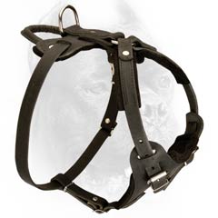 Easy adjustable felt padded leather harness