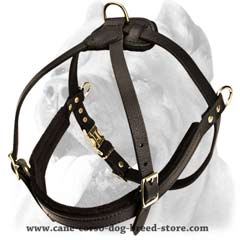 Safety walking leather dog harness