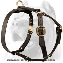 Fuly adjustable leather dog harness