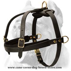 Comfortable easy handling leather harness
