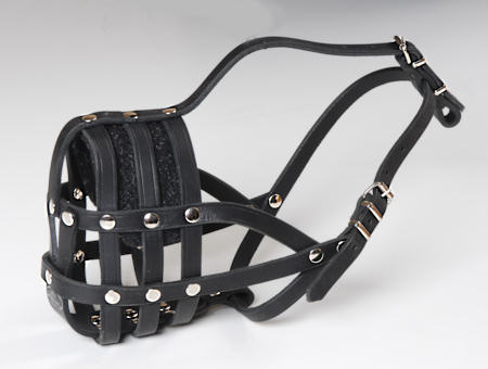  Everyday Light Weight Super 
Ventilation dog muzzle for Cane Corso