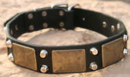 Cane Corso Custom Leather Dog Collar- brass plates,pyramid