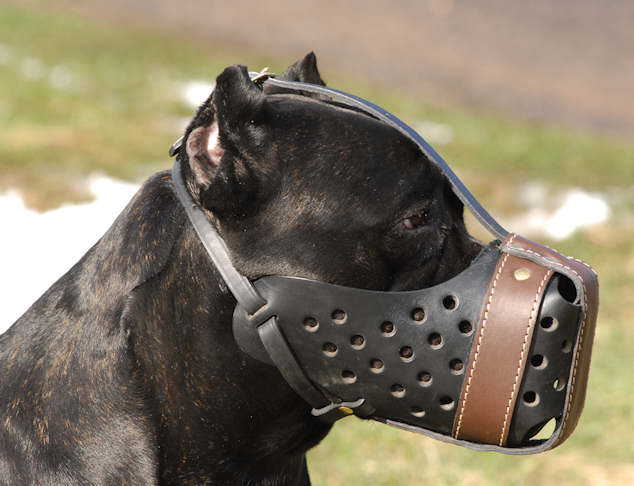 Leather dog muzzle 