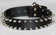 Cane Corso Leather Spiked Dog Collar for walking,tracking..