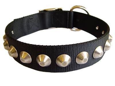 Gorgeous Wide Nylon Dog Collar With Nickle Pyramids for Cane corso 