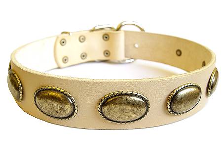 Retro Rulz - Gorgeous Vintage Dog Leather Collar for Cane Corso