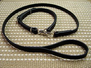 Police / hunting dog leash and collar (combo) for cane corso