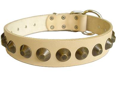 Gorgeous Wide Leather Dog Collar for CANE CORSO