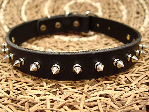 Designer Leather Cane Corso Collar with Row of Spikes for Walking