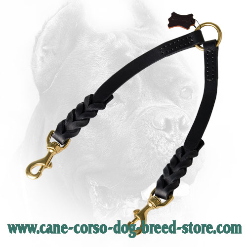 Leather Cane Corso Coupler with Decorative Braids