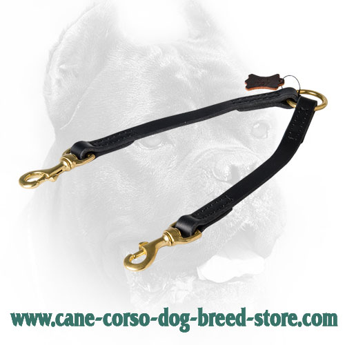 Cane Corso Coupler Stitched for Better Durability