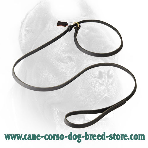 Leather Cane Corso Leash and Choke Collar Combo for Universal Use