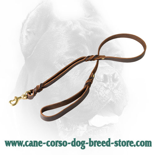 Leather Cane Corso Leash with Comfortable Handle