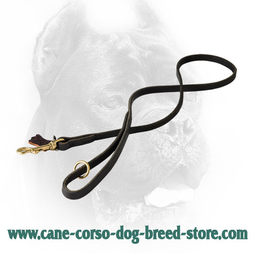 Leather Cane Corso Leash with Brass Floating O-Ring