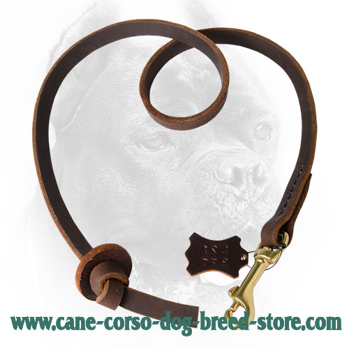 Leather Cane Corso Leash with Circle Handle
