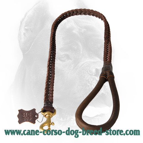 Cane Corso Leash with Soft Leather Handle