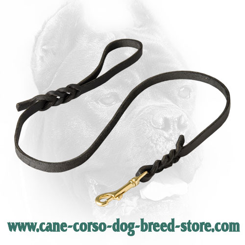 Extra Strong Cane Corso Leash for Daily Use