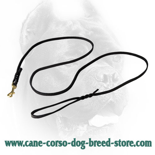 Leather Cane Corso Leash for Different Activities