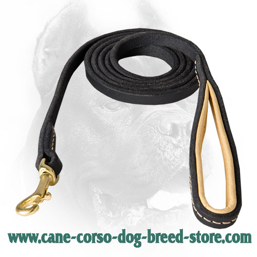 Stitched Design Cane Corso Leash with Nappa Padded Handle