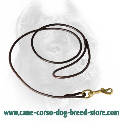 Round Cane Corso Leash for Dog Shows