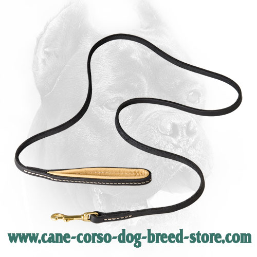 Strong Leather Cane Corso Leash 