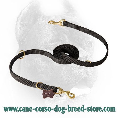 Cane Corso Leash with Snap Hook