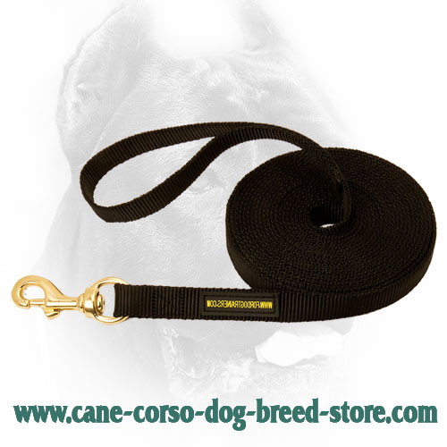 Cane Corso Leash for Dog Training