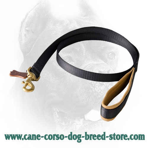Strong Cane Corso Leash with Soft Comfy Handle