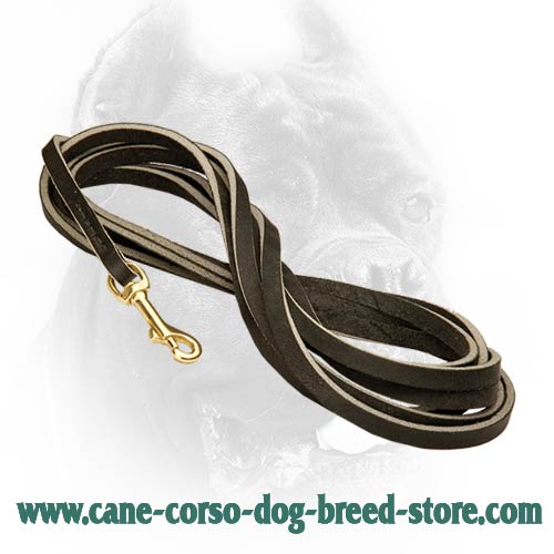 Super strong leather leash 