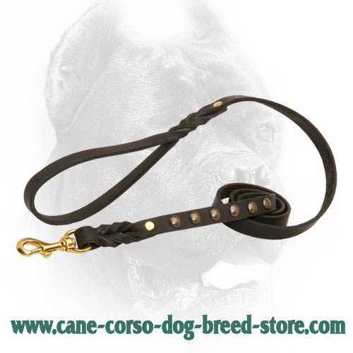 Universal leather leash for large dogs