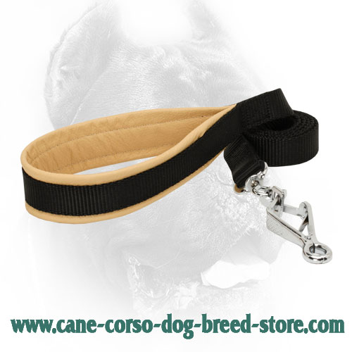 Dog nylon leash for dealing with Cane Corso