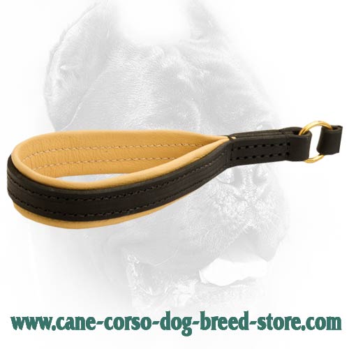 Superior leather leash with convenient handle